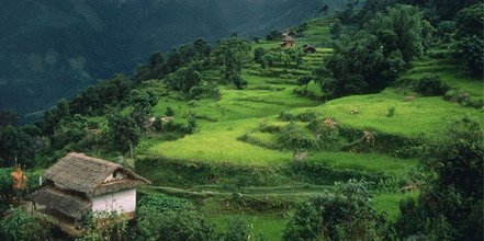 Chepang Hill Trek- Short and easy trek in Nepal