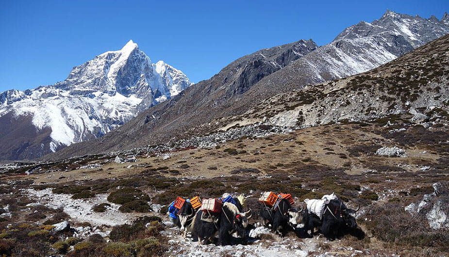 Hiring a Guide to Everest Base Camp